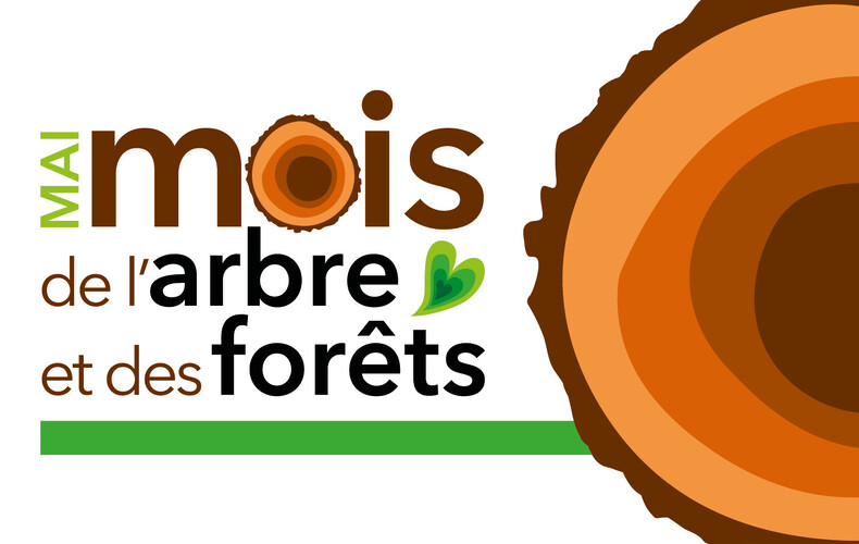 Jour de la terre et de l'environnement