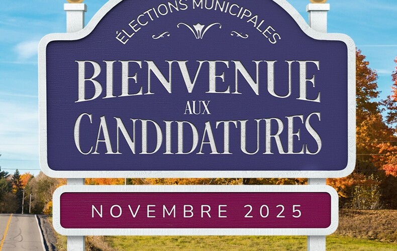 Élections 2025